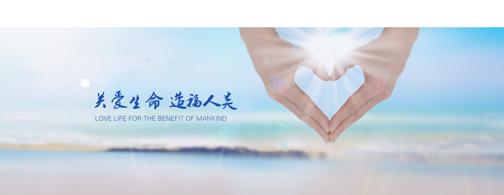 MS���^�������C(j��)�����a(ch��n)܇�g